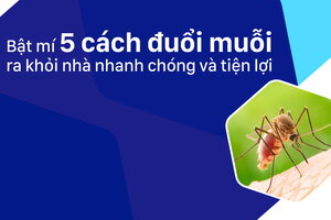 Bật mí 5 cách đuổi muỗi ra khỏi nhà nhanh chóng và tiện lợi