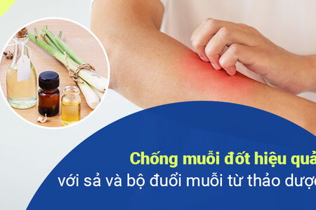 Chống muỗi đốt hiệu quả với sả và bộ đuổi muỗi từ thảo dược