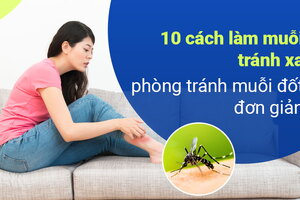 10 cách làm muỗi tránh xa, phòng tránh muỗi đốt đơn giản