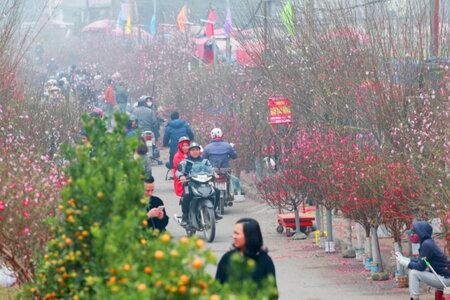Dịp Tết Nguyên đán 2023, Hà Nội tổ chức 91 điểm chợ hoa