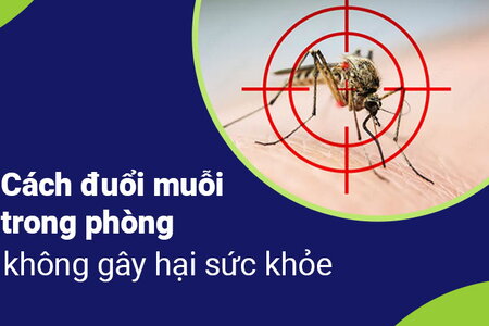 Cách đuổi muỗi trong phòng không gây hại sức khỏe