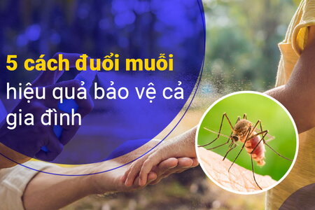 5 cách đuổi muỗi hiệu quả bảo vệ cả gia đình