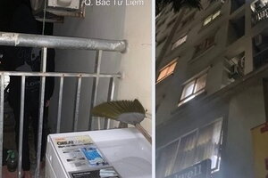 Kịp thời giải cứu nam sinh lớp 9 có ý định nhảy lầu tự tử