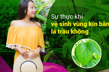 Sự thực khi vệ sinh vùng kín bằng lá trầu không 