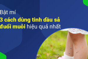 Bật mí 3 cách dùng tinh dầu sả đuổi muỗi hiệu quả nhất