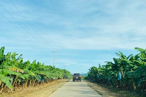 Tập đoàn Hoàng Anh Gia Lai lần đầu có lãi nghìn tỷ đồng