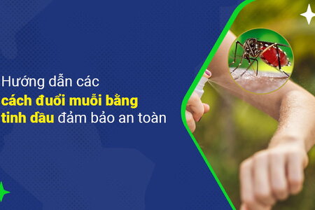 Hướng dẫn các cách đuổi muỗi bằng tinh dầu đảm bảo an toàn