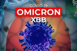 Ghi nhận sự xuất hiện của biến thể XBB tại tỉnh Tây Ninh và TP.HCM.