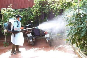Hà Nội: Số ca mắc sốt xuất huyết giảm tới 74,8% so với tuần trước đó