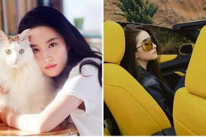 Qúy cô độc thân tuổi 35 Lưu Diệc Phi gây choáng khi sống cùng 16 con mèo và có BST siêu xe trăm tỷ