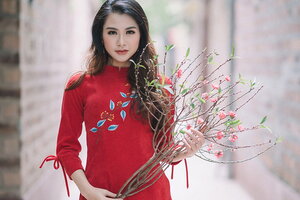 Xem vận hạn của 12 con giáp trong năm Quý Mão 2023