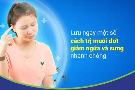 Lưu ngay một số cách trị muỗi đốt, giảm ngứa và sưng nhanh chóng