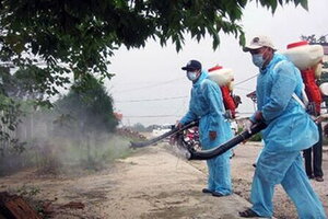 Bình Định ghi nhận hơn 300 ca sốt xuất huyết từ đầu năm đến nay