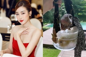 Sao Việt sắm túi hiệu cả trăm triệu đồng để... đựng hoa quả, bỉm sữa