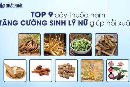 TOP 9 cây thuốc nam tăng cường sinh lý nữ