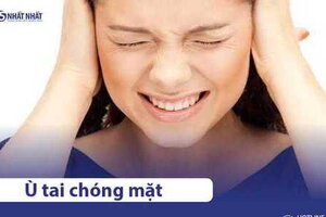 Ù tai chóng mặt cảnh báo bệnh gì? Có nguy hiểm không? Chữa thế nào?