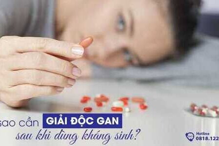 Vì sao cần giải độc gan sau khi dùng kháng sinh?