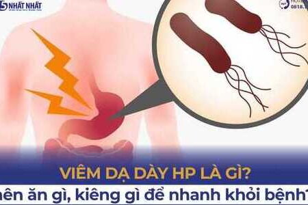 Viêm dạ dày HP là gì? Vì sao dễ bị viêm dạ dày do vi khuẩn HP?