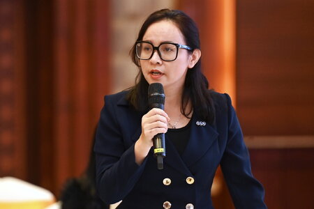Tổng giám đốc FLC Bùi Hải Huyền từ chức