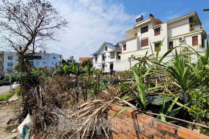 Cận cảnh 8 lô đất ở vị trí đắc địa của cựu Giám đốc Sở Giáo dục và Đào tạo Quảng Ninh bị kê biên