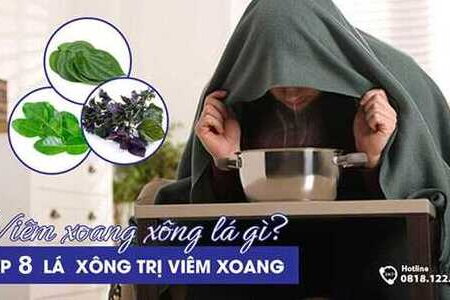 Viêm xoang xông lá gì? TOP 8 lá xông trị viêm xoang an toàn, hiệu quả