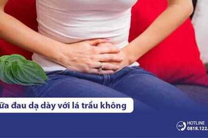 3 Cách chữa đau dạ dày bằng lá trầu không đơn giản, hiệu quả