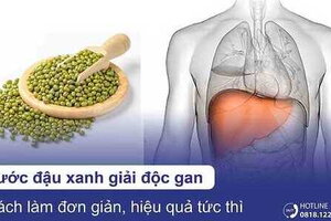Nước đậu xanh giải độc gan: Cách làm đơn giản, hiệu quả tức thì