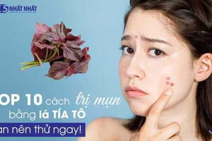TOP 10 cách dùng lá tía tô trị mụn nhanh hiệu quả bạn nên thử ngay
