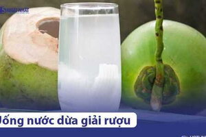 Say rượu uống nước dừa được không? Giải được rượu không?