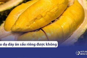 Đau dạ dày ăn sầu riêng được không? Cần lưu ý những gì