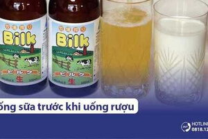 Uống sữa trước khi uống rượu có đỡ say không? Nên uống sữa gì?