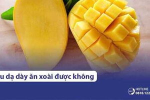 Đau dạ dày ăn xoài được không? Nên ăn xoài xanh hay xoài chín