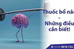 Những điều cần biết về thuốc bổ não? Những ai nên dùng?