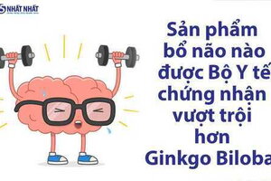 Bộ y tế chứng nhận Hoạt huyết Nhất Nhất hiệu quả vượt trội Ginkgo Biloba EGB761 của Pháp