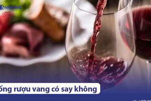 Uống rượu vang có say không? 5 Cách hạn chế say khi uống rượu vang