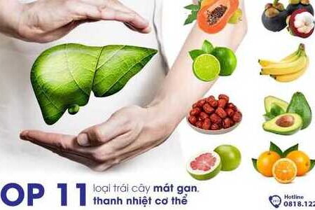 TOP 11 loại trái cây mát gan, thanh nhiệt cơ thể