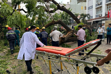 Cây xanh trong trường bật gốc, ngã đổ khiến ít nhất 5 người bị thương