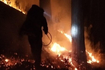Thông tin mới nhất vụ cháy rừng ở đèo Prenn, Đà Lạt: Xuyên đêm chữa cháy, dùng flycam để giám sát