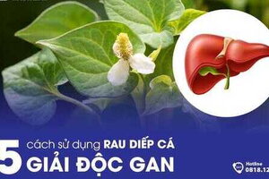 5 cách sử dụng rau diếp cá giải độc gan hiệu quả