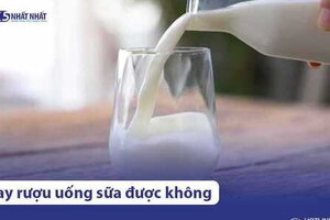 Say rượu uống sữa được không? Những lưu ý khi uống sữa giải rượu