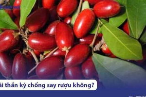 Thực hư việc trái thần kỳ chống say rượu, biến chua thành ngọt?