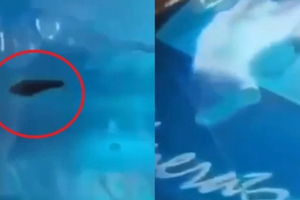 Công bố kết quả xét nghiệm mẫu nước trong vụ phát hiện đỉa trong bình nước còn nguyên tem