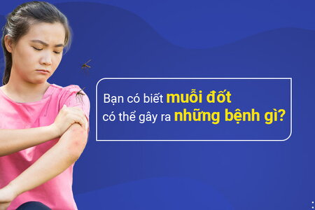 Bạn có biết muỗi đốt có thể gây ra những bệnh gì?