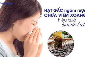 Hạt gấc ngâm rượu chữa viêm xoang hiệu quả bạn đã biết?