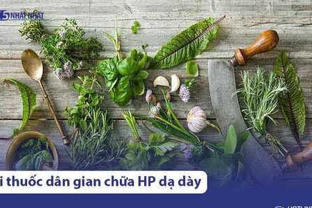 15 bài thuốc dân gian chữa HP dạ dày tại nhà đơn giản, hiệu quả