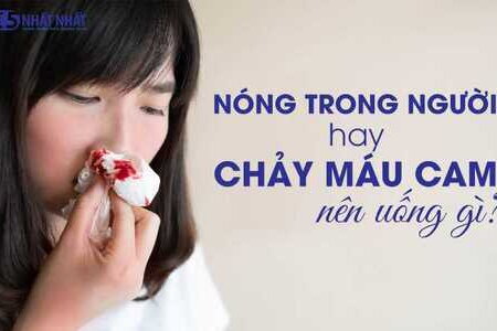 Nóng trong người hay chảy máu cam nên uống gì?