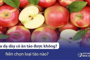 Đau dạ dày có ăn táo được không? Nên chọn loại táo nào?