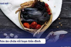 7 món ăn trị rối loạn tiền đình Ngon, Dễ Làm | Kèm công thức