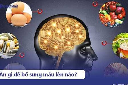 Ăn gì bổ não? 13 Loại thức ăn bổ não giúp tăng cường trí nhớ