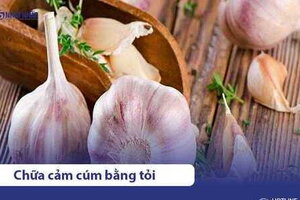 7 Cách chữa cảm lạnh, cảm cúm bằng tỏi hiệu quả nhanh chóng